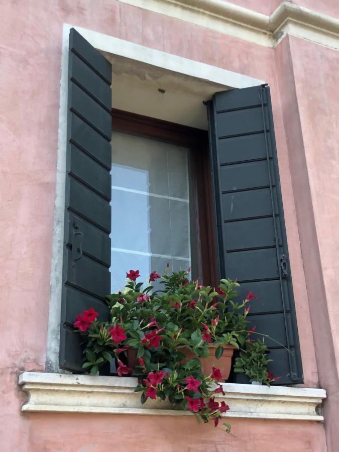 Villa Trevisi - Apartment 特雷维索 外观 照片